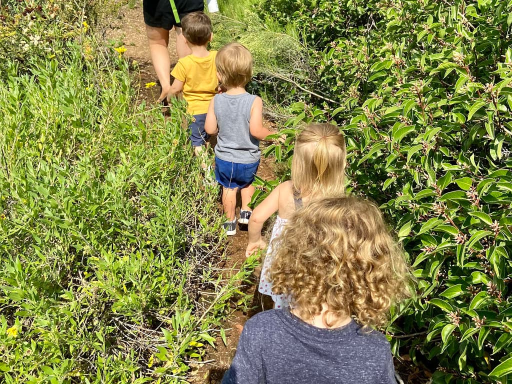 4 small children walking a trail in nature, exploring God's creation